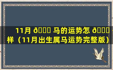 11月 💐 马的运势怎 🐟 么样（11月出生属马运势完整版）